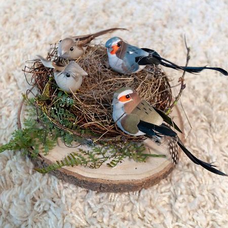 Harznest Apartment Braunlage Bagian luar foto