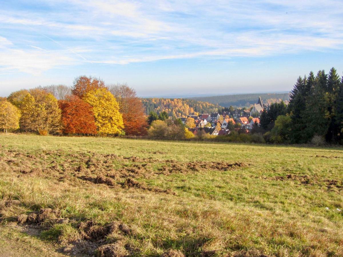Harznest Apartment Braunlage Bagian luar foto