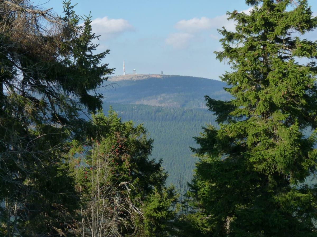 Harznest Apartment Braunlage Bagian luar foto